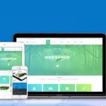 Domain Registration and Virtual Hosting