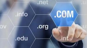 Domain and Hosting